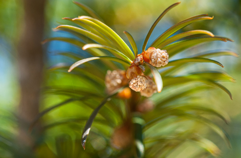 Platz 7 Johann Kerler